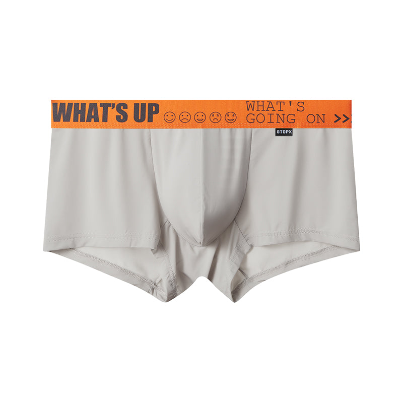 GTOPX MAN Thin Ice Silk Long Design U Touch Comfortable Breathable Boxer Pants Men Underwear