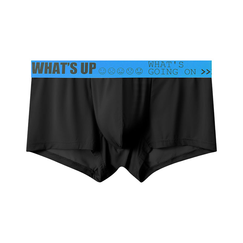 GTOPX MAN Thin Ice Silk Long Design U Touch Comfortable Breathable Boxer Pants Men Underwear