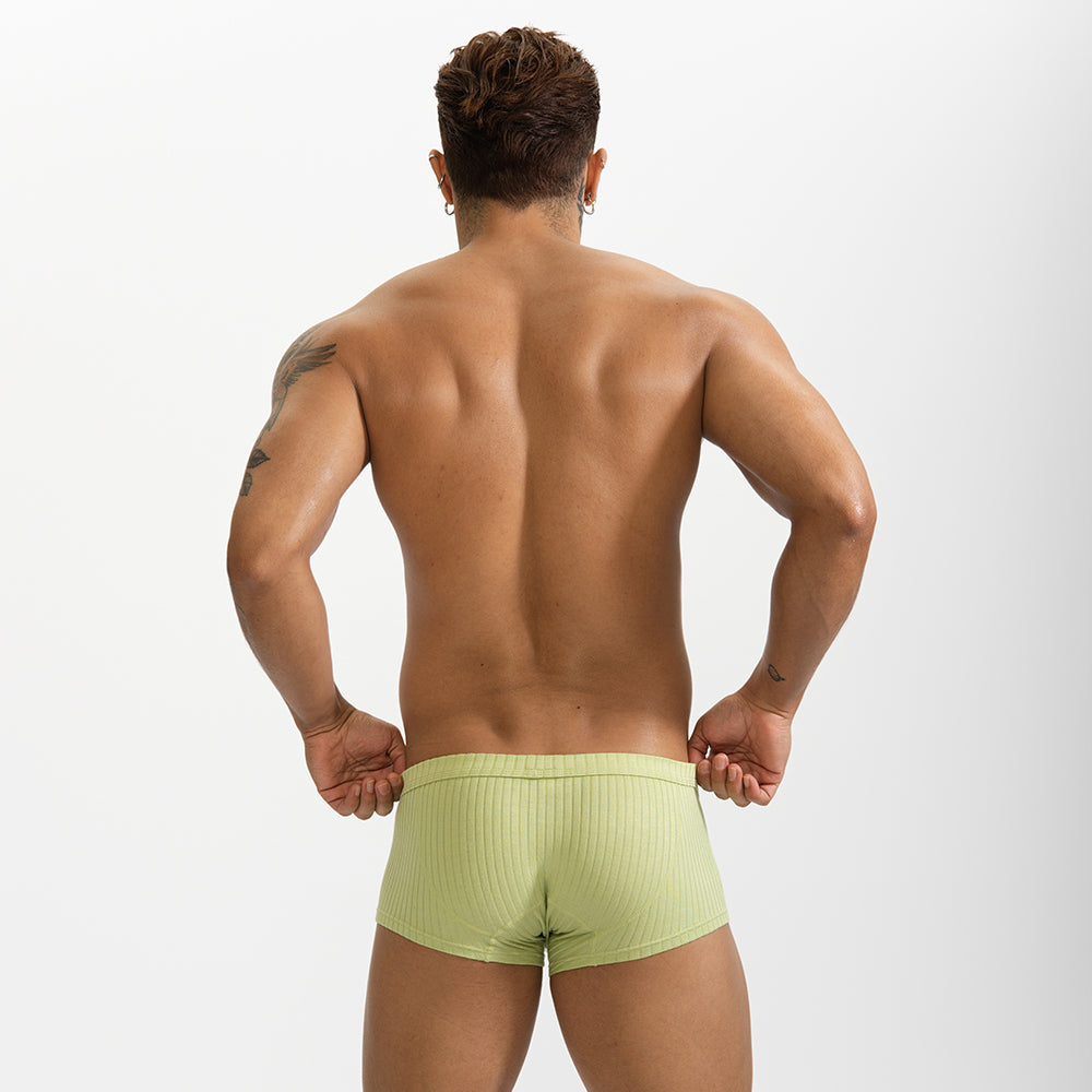 GTOPX Male Natural Feelings U Convex Big Pack Boxer Briefs Striped Modal Underwear