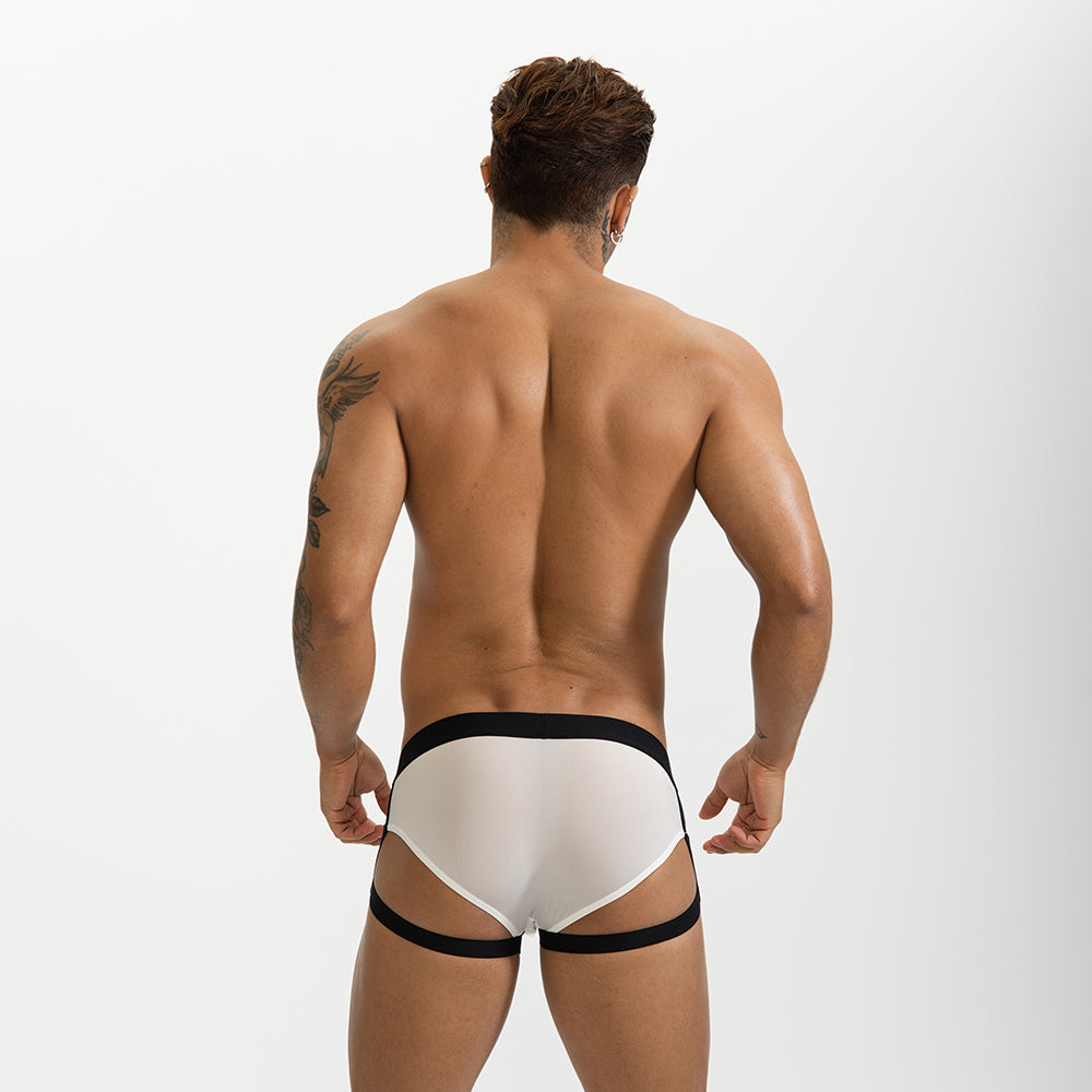 GTOPX MAN Low Waistline Frenulum Sexy Briefs Ice Silk Men Thin Big Pouch U Convex Underwear