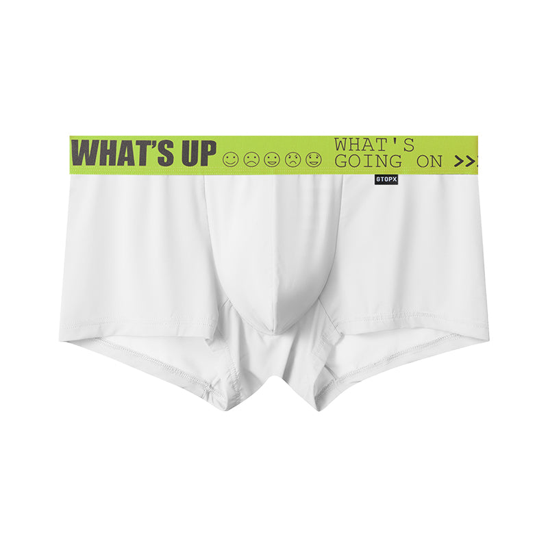GTOPX MAN Thin Ice Silk Long Design U Touch Comfortable Breathable Boxer Pants Men Underwear
