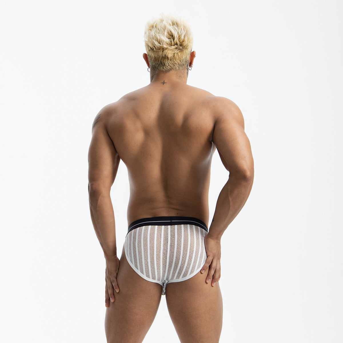 Male Ice Silk Sexy Mesh Low Waistline Briefs Man Transparent Underwear