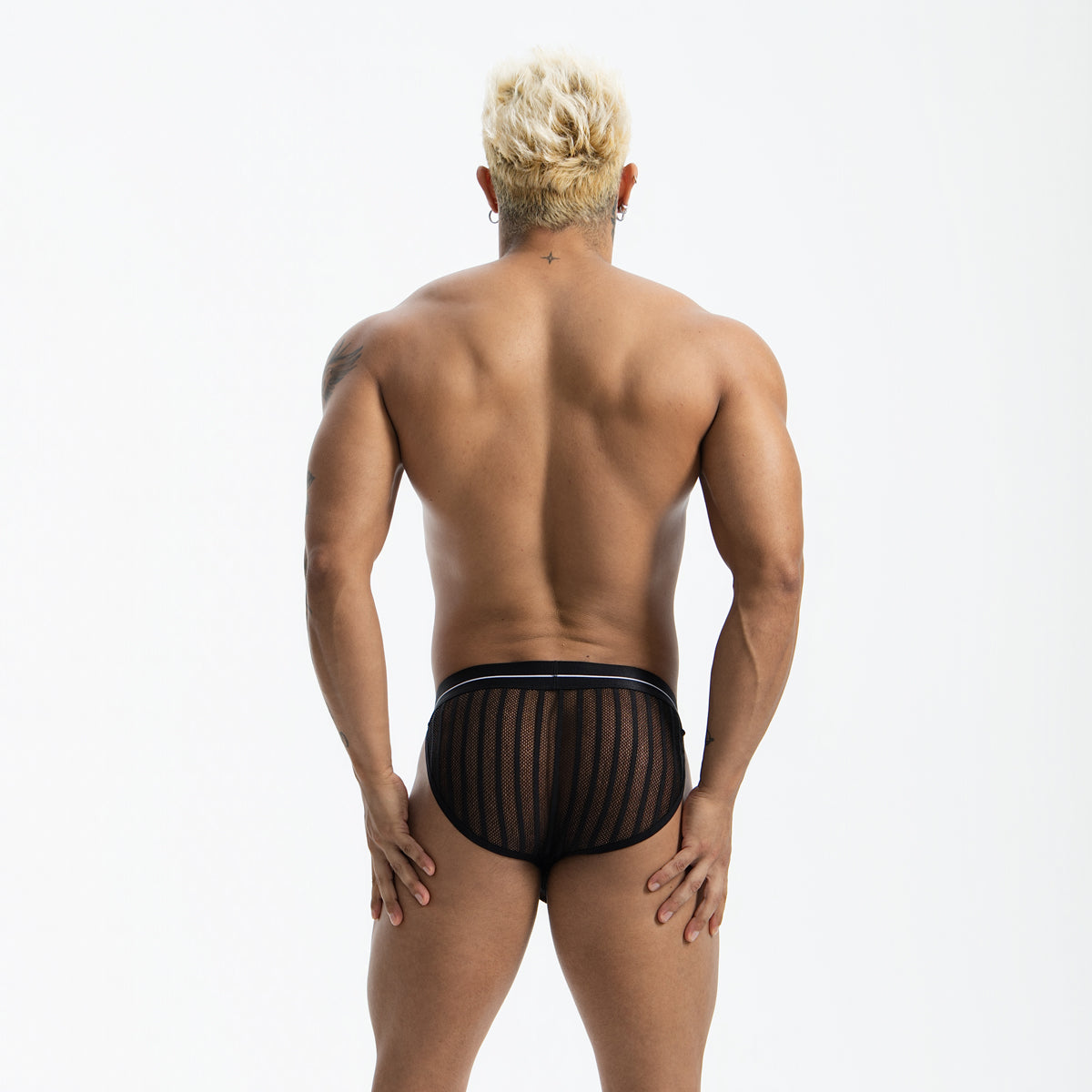 Male Ice Silk Sexy Mesh Low Waistline Briefs Man Transparent Underwear