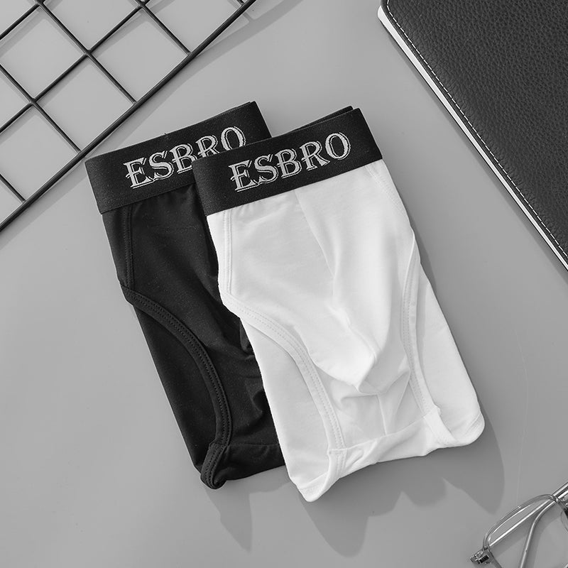 Men's Modal Briefs Ultra Soft Breathable Underwear with Elastic Waistband, Comfort Stretch brief Shorts for Men