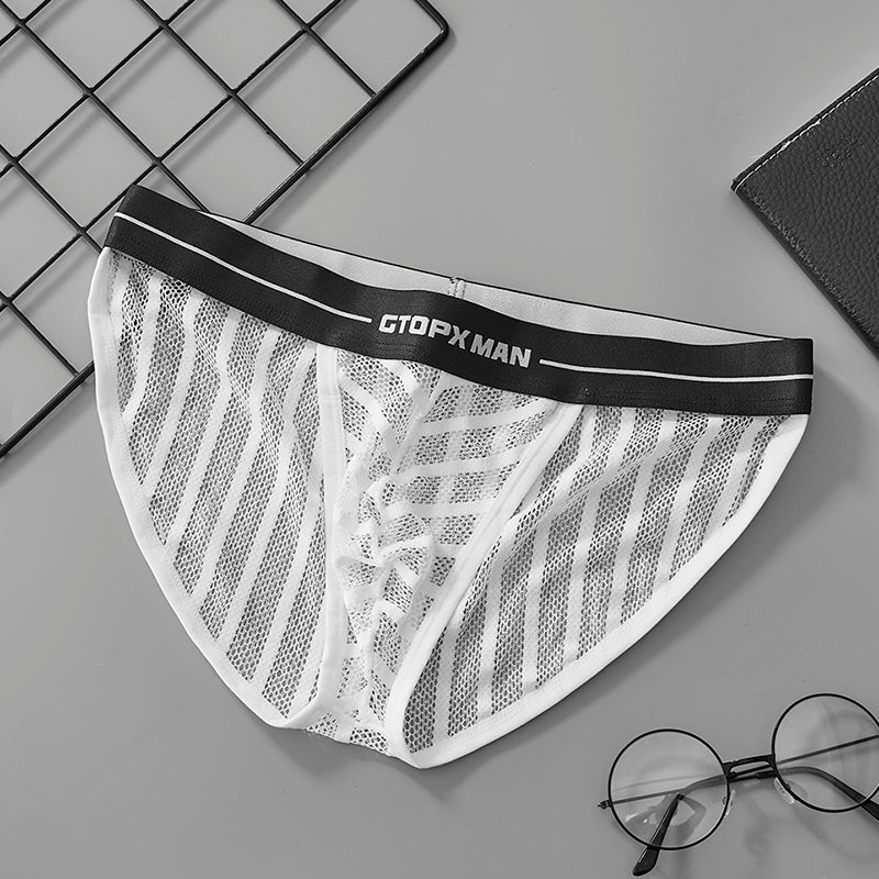 Male Ice Silk Sexy Mesh Low Waistline Briefs Man Transparent Underwear