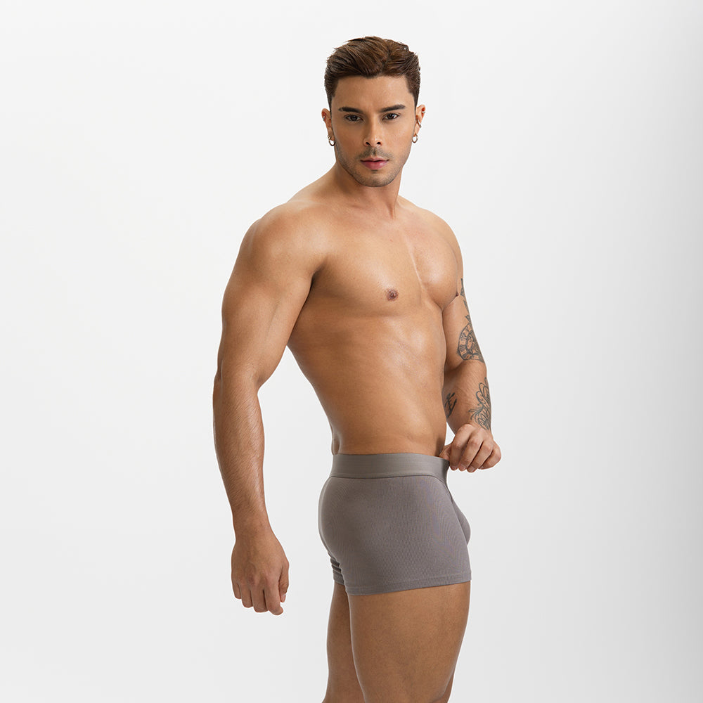 Natural Feelings U Convex Big Pack Boxer Briefs Striped  Underwear