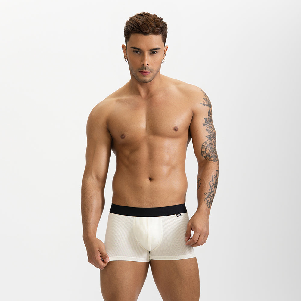 Male Natural Feelings  U Convex Big Pack Boxer Briefs Striped Modal Underwear