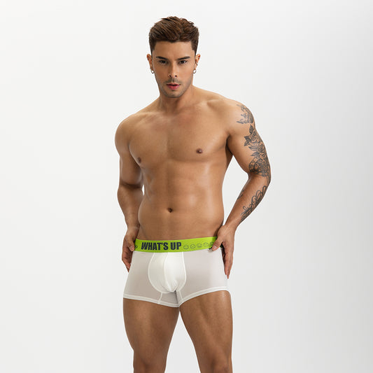 GTOPX MAN Thin Ice Silk Long Design U Touch Comfortable Breathable Boxer Pants Men Underwear