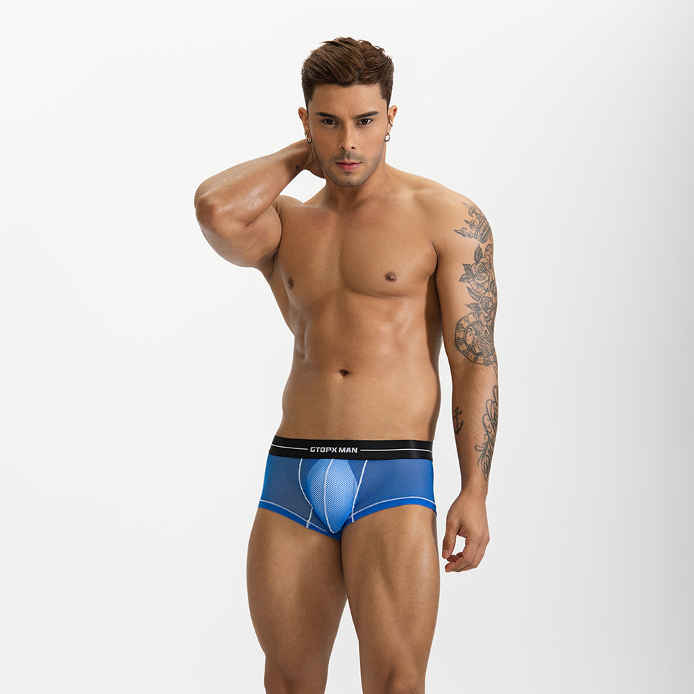 GTOPX MAN Boxers Ice Silk Sexy Low Waistline Transparent Guaze  Fashion U Convex Pouch Underwear