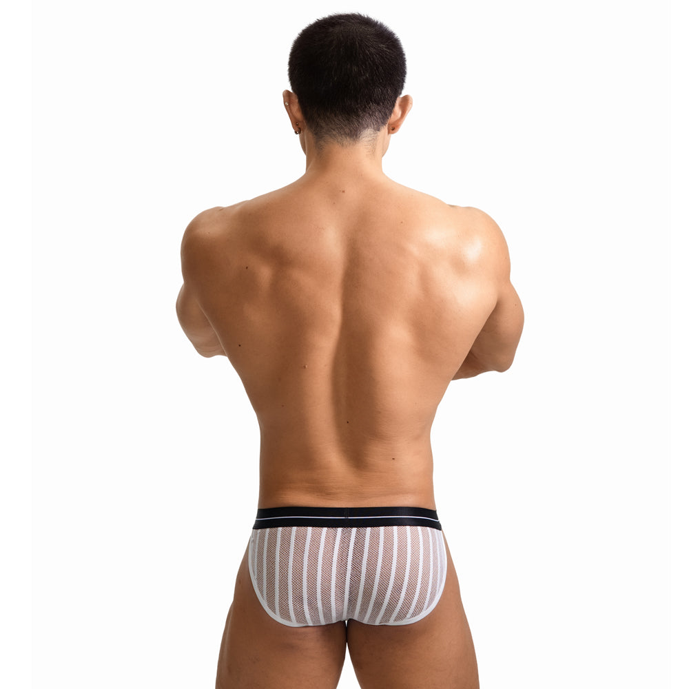 Male Ice Silk Sexy Mesh Low Waistline Briefs Man Transparent Underwear